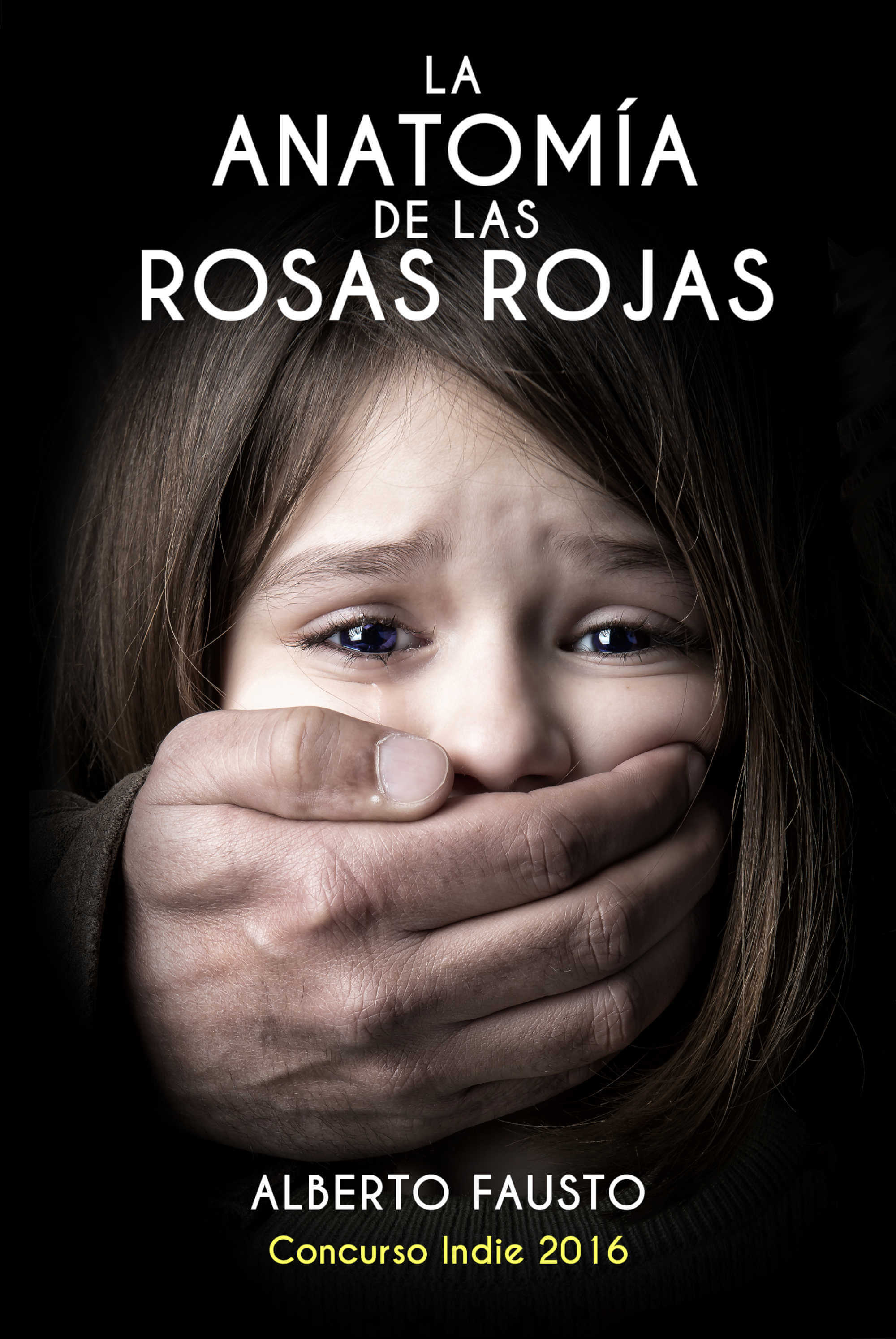 Portada del libro de Alberto Fausto: 